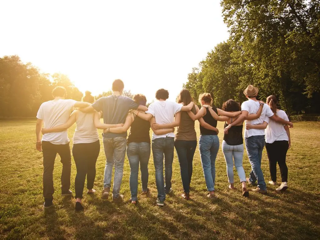 A group of people walk arm in arm on grass at sunset, facing away under a clear sky with trees nearby.