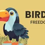 Illustration of a toucan on grass with BIRDS and FREEDOM, created for a mural donation on a yellow background.