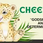 A cute cheetah cub sits by green leaves, highlighting Cheetah: Godspeed and Determination—perfect for a mural donation.