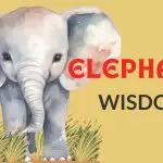 Watercolor elephant with large ears stands in grass; text reads Elephant Wisdom on a yellow basketball court mural.